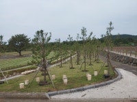 용강별숲공원