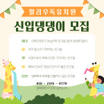 애견유치원 애견호텔 할리우독
