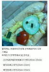 비에뜨반미 약대점
