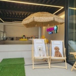 해피멍데이 강아지유치원 애견유치원