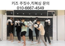 북구팀매드