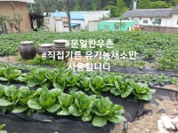 문일한우촌 오크벨리점