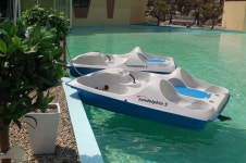 드위트리 풀빌라펜션&카라반가든