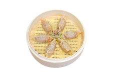 우리동네5분만두 본점