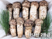 대덕종합무역