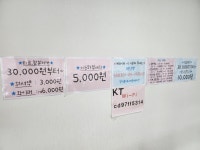 장기동애니카손세차장