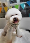 어스펫 1호점