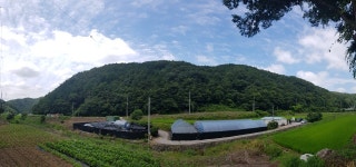 성민자라양어장