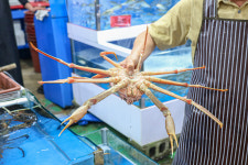 사촌수산