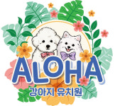 알로하 강아지유치원호텔