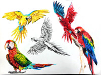 올림픽중등씨앤씨미술학원