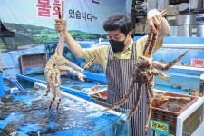 사촌수산