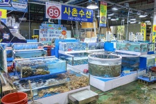 사촌수산