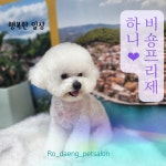 로:댕 펫살롱