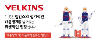벨킨스 청주북부지사
