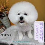 로:댕 펫살롱