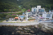 고홍집