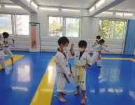 한국체대김근태태권도