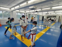 한국체대김근태태권도