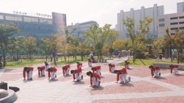 꿈꾸는석사태권도