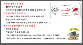 제주돈먹젠