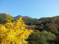 용문산그린펜션