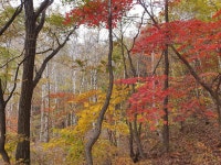 용문산그린펜션