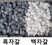 신흥골재건재