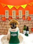 그루몽 펫살롱