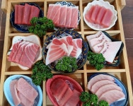 블루참치