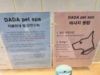 애견셀프목욕 다다펫스파