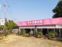온누리플라워