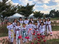 용인대TOP태권도