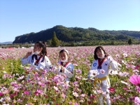 용인대TOP태권도
