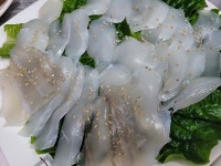 둥근섬숙이네