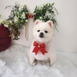 이발하개