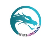 용인대금메달태권도