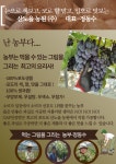 농업회사법인 산노을농원
