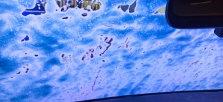 오토파워주유소