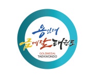 용인대금메달태권도