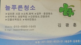 늘푸른청소