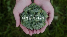 와이케이
