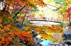 월악산 꽃피는산골 민박펜션