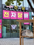 야옹이전자담배 강남본점