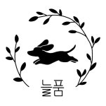 늘품
