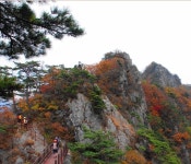 월악산 꽃피는산골 민박펜션