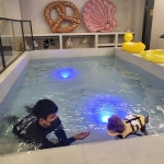 해피멍데이 애견미용