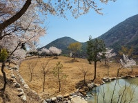 만점농원민박