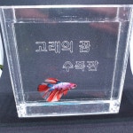 고래의꿈 수족관