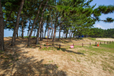 중앙캠핑장